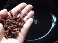 水煮泡椒鲶鱼的做法步骤3