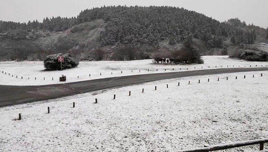 美呆了！重庆仙女山迎下半年初雪 一片银装素裹