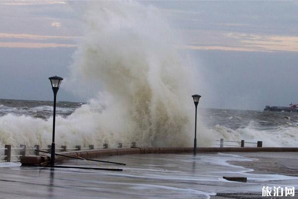 2019台风日照最新消息 2019日照台风停运列车+公交+长途汽车