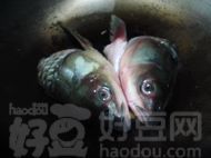 鱼头豆腐汤的做法步骤4