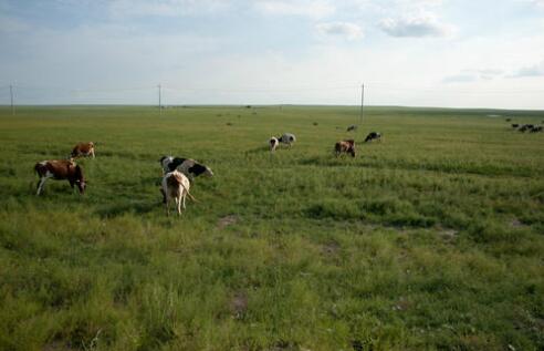 内蒙古逐渐转晴气温重回20℃以上 市民外出需注意防晒