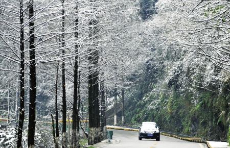 小编为您解答——什么是“阵雪”