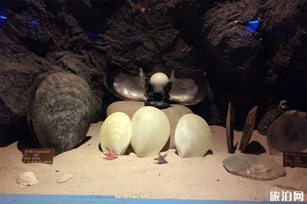 2019北海海洋之窗在哪里+地址+交通+电话 2019北海海洋之窗在哪里+地址+交通+电话