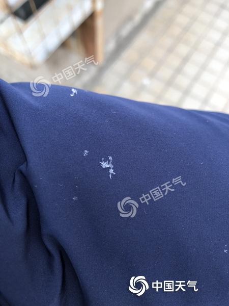 微信图片_20190206090415.jpg