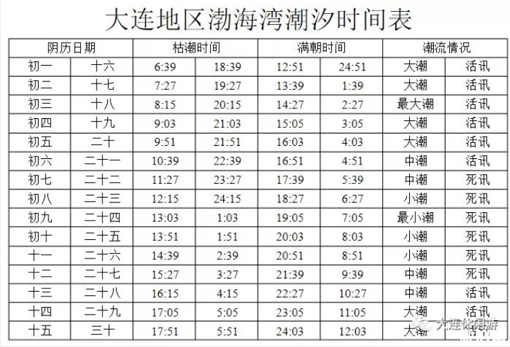 大连开海时间2019+赶海时间 大连赶海去哪里比较好