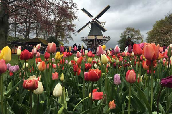 荷兰旅游最佳时间 荷兰好玩的景点有哪些