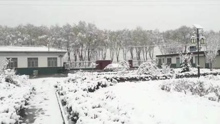 正宁积极应对今冬首场降雪天气过程