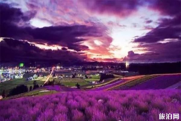 新疆六大花海 新疆最值去的花节有哪些 新疆六大花海 新疆最值去的花节有哪些