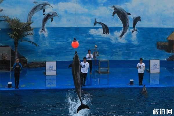 昆明2019石林冰雪海洋世界门票价格+开放时间 昆明2019石林冰雪海洋世界门票价格+开放时间