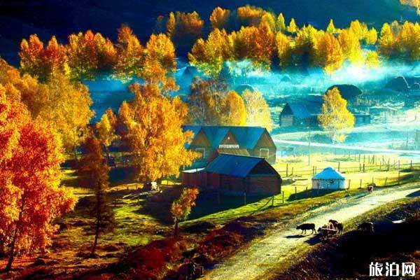 喀纳斯必打卡的景点有哪些 喀纳斯必打卡的景点有哪些