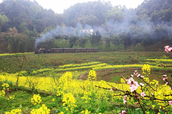 嘉阳小火车在哪里 嘉阳小火车油菜花好久开