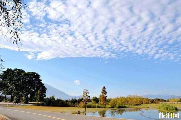 2020全国旅游年票云南景点名单+购买+使用