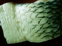 草菇青鱼汤的做法步骤1