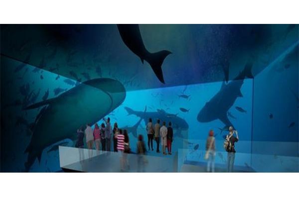 重庆永川乐和乐都有什么好玩的游玩项目