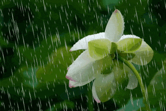雨一直下！强降水怒刷存在感 今明两天云南局地仍有暴雨~