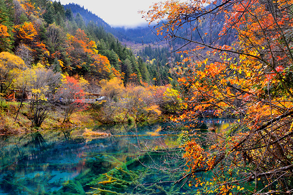 十一月适合去哪里旅游 十一月去哪旅游合适
