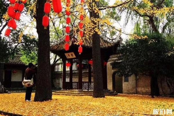 2019苏州秋游哪里好玩+游玩攻略