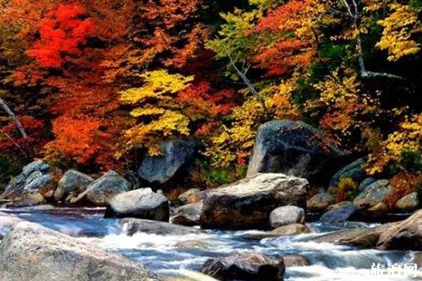 陕西秋天去哪里玩+游玩攻略 陕西秋天去哪里玩+游玩攻略