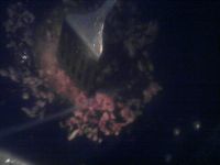青蒜肉末豆花的做法步骤9
