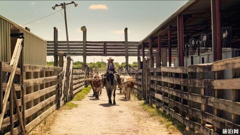 德克萨斯州特色玩法 德克萨斯州特色玩法