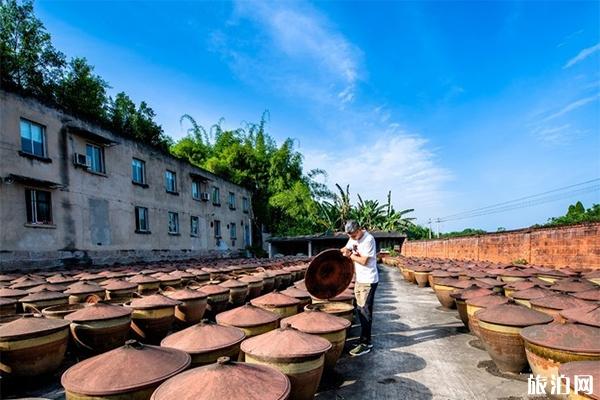 自贡网红打卡景点有哪些