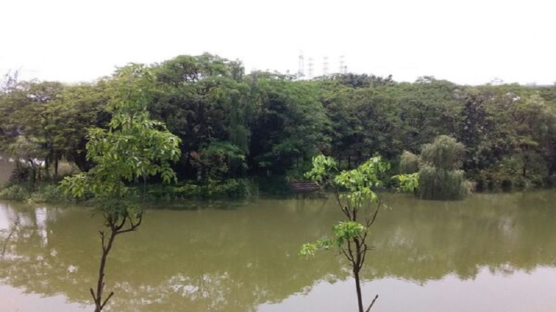 广州钓鱼的地方 广州哪些地方可以钓鱼