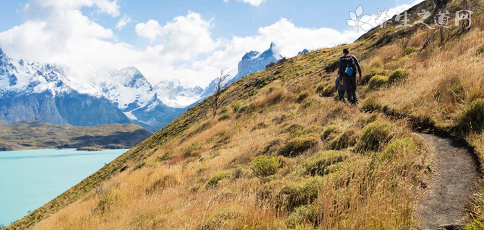 成都冬至吃什么