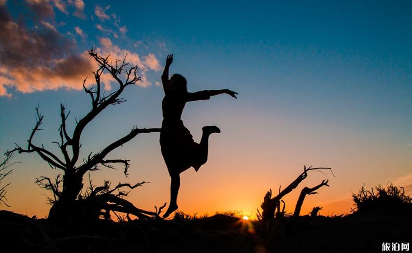 额济纳旗自由行七日游攻略