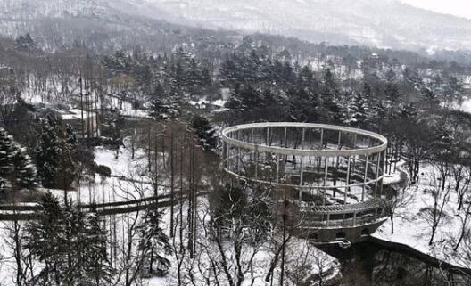 黑龙江四月暴雪气温低迷 各地供暖期延长至本月底