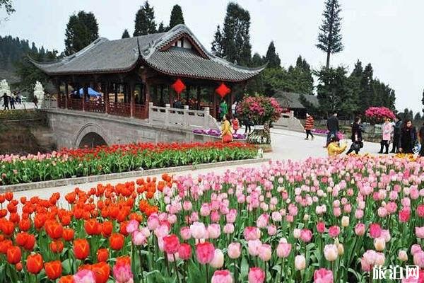 2019成都花舞人间门票价格+全年花期+必玩项目 2019成都花舞人间门票价格+全年花期+必玩项目