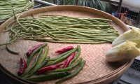 自制泡菜的做法步骤4