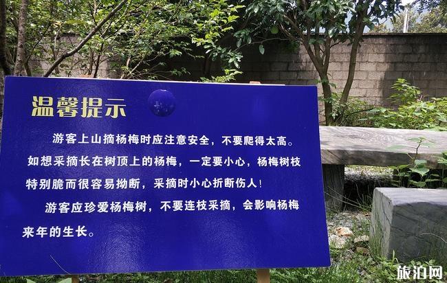 开化自驾游攻略 霞山古村游玩攻略 金溪桃韵游玩攻略