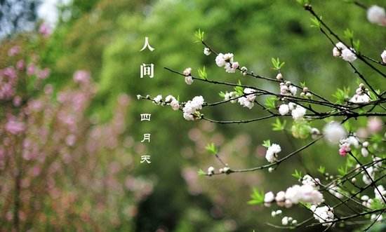 2020年最美人间四月天告别三月的句子 四月来了的朋友圈文案