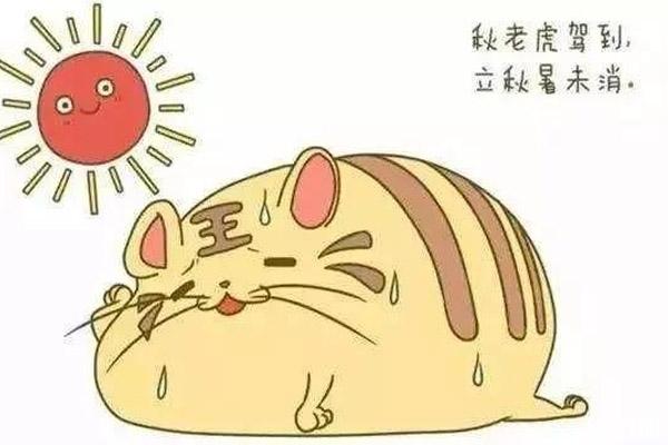 2019秋老虎从什么时候开始 秋老虎原因+注意事项