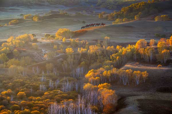 坝上草原自驾游攻略 坝上草原自驾游