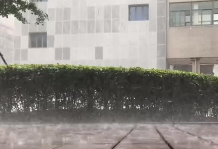 上海今“梅雨台风”抵达上海 雷电暴雨大风预警高挂