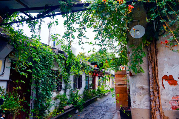 苏州周庄古镇好玩吗 周庄古镇值得去吗