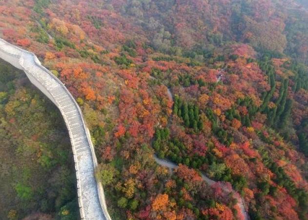 北京11月看红叶的地方