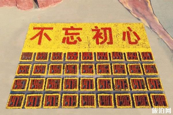 2019青岛西海岸菊花展地址+时间+门票+看点