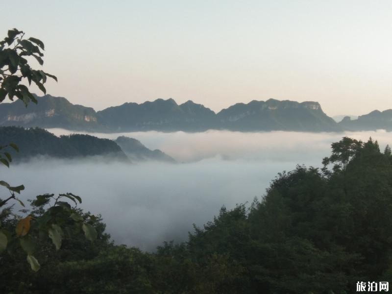 张家界三日游攻略最新