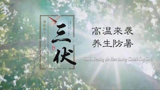 三伏天什么时候结束