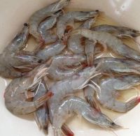 烹大虾的做法步骤4