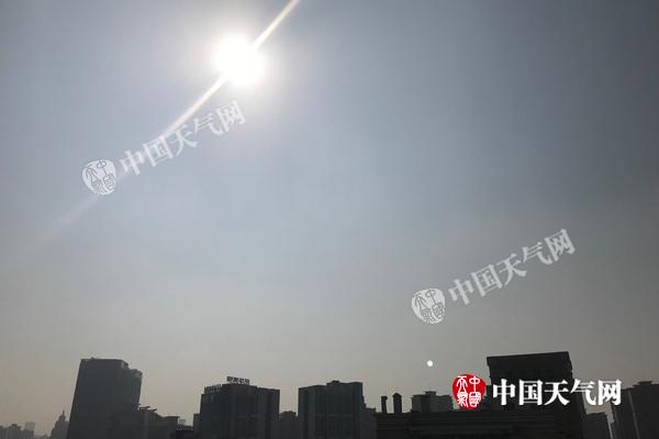 重庆园博园菊花展持续 未来三天天气晴好气温回升