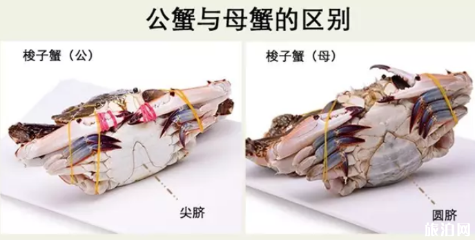 2019渤海湾开海时间 海鲜挑选攻略