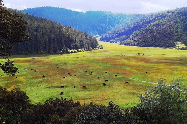 普达措国家公园门票价格 普达措国家公园门票多少钱