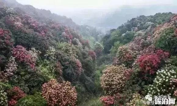 我在未来等你取景地点介绍+旅游攻略