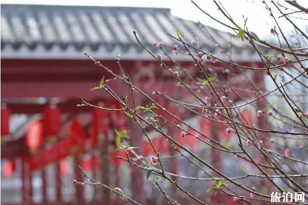 2019佛山七夕节哪好玩