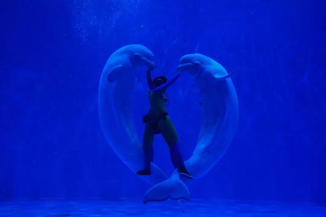 西宁童梦乐园在哪 西宁童梦乐园游玩攻略 西宁童梦乐园在哪 西宁童梦乐园游玩攻略