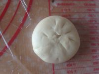 鲜肉酥的做法步骤9