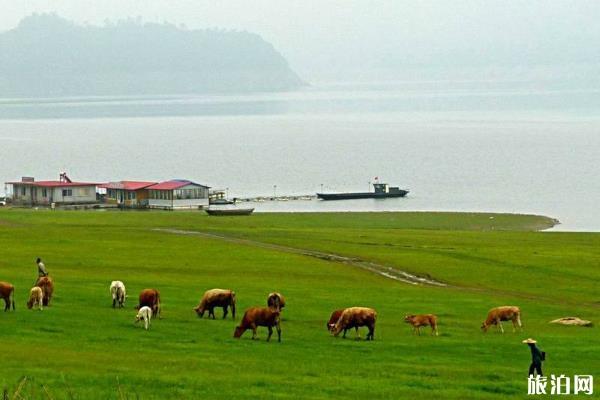 绿江村最适合几月去 绿江村最佳旅游时间和季节 绿江村最适合几月去 绿江村最佳旅游时间和季节